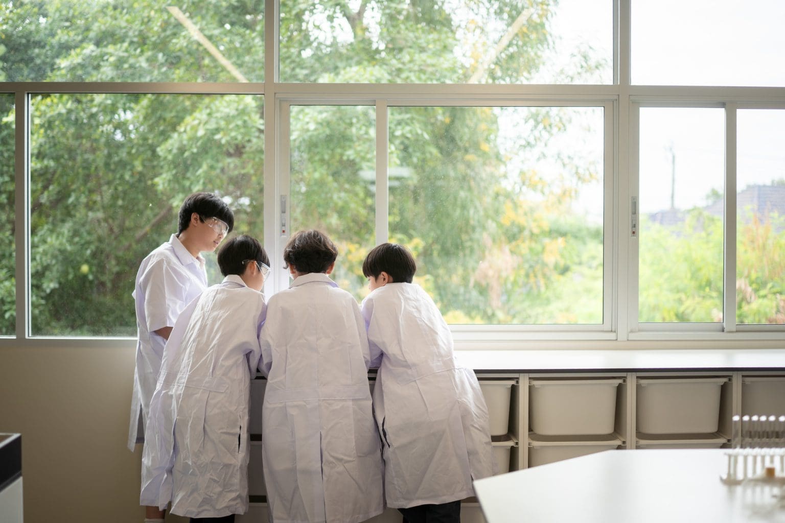 Students at the window benches in the science lab