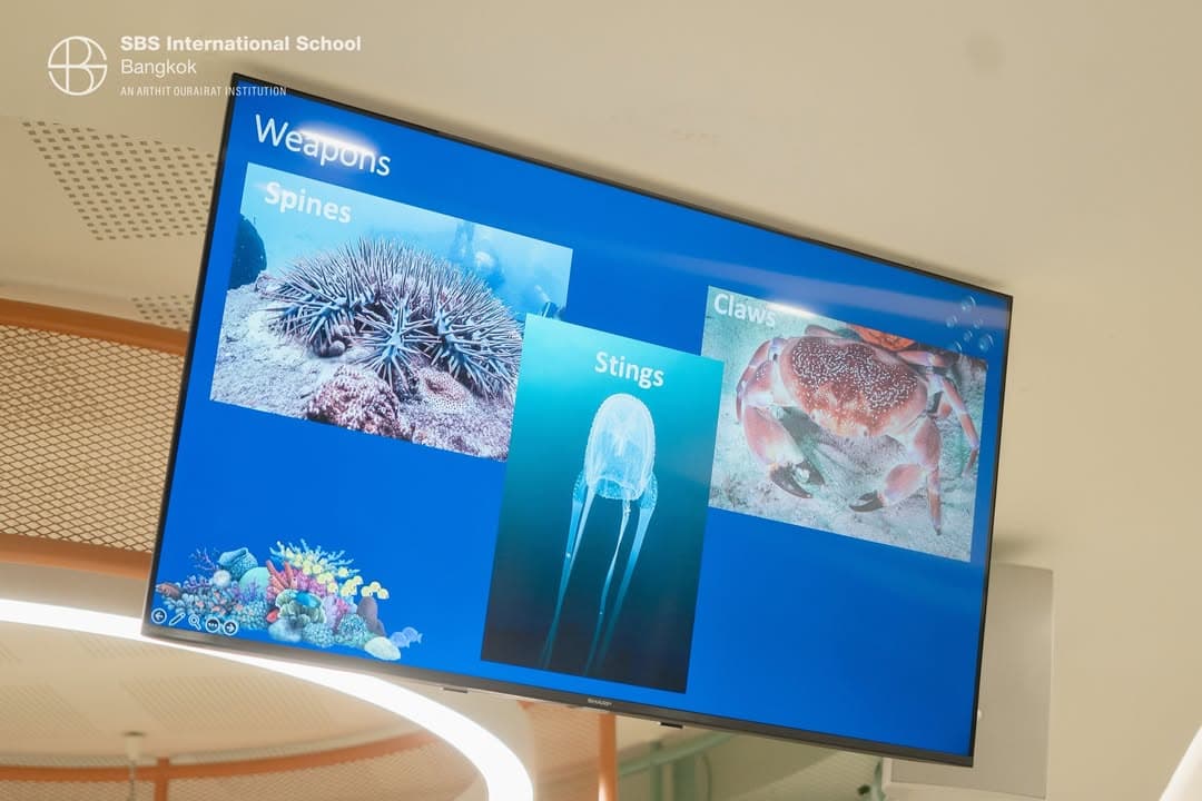 Global Reef Workshops Bring Marine Conservation Learning to SBS Bangkok photo 2